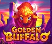 Golden Buffalo